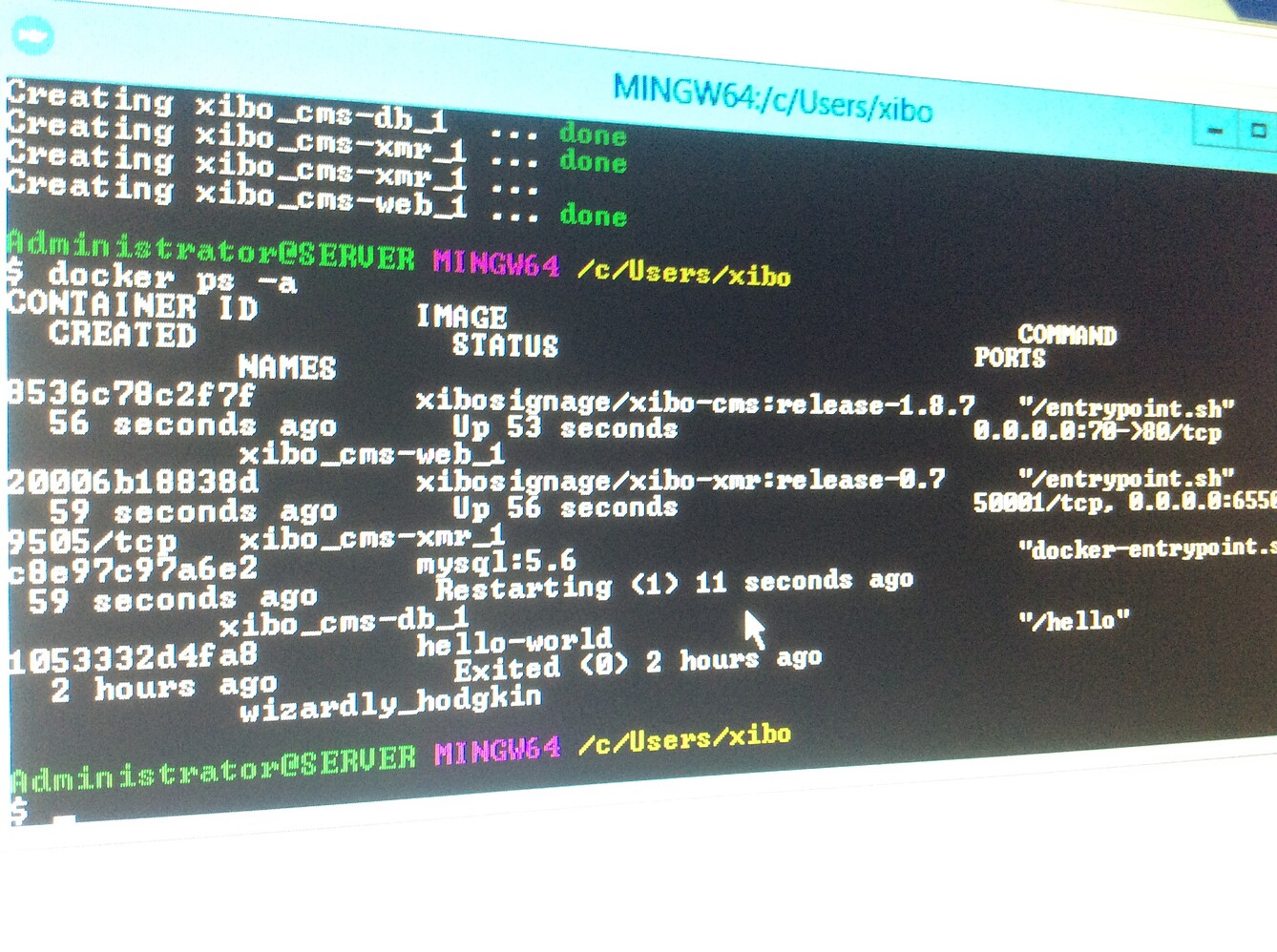 starting mysql database server mysqld docker mysql starting mysql database server mysqld docker mysql